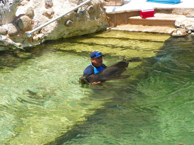 Cozumel, Mexican Caribbean